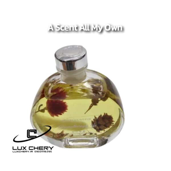 خوشبوکننده آروماتراپی (رایحه درمانی) (مناسب هدیه) - تصویر 3